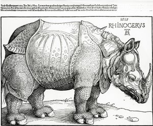 De Neushoorn, 1515